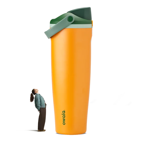 Owala Orange Grove - 40oz