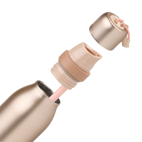 Owala Paparazzi - 24oz